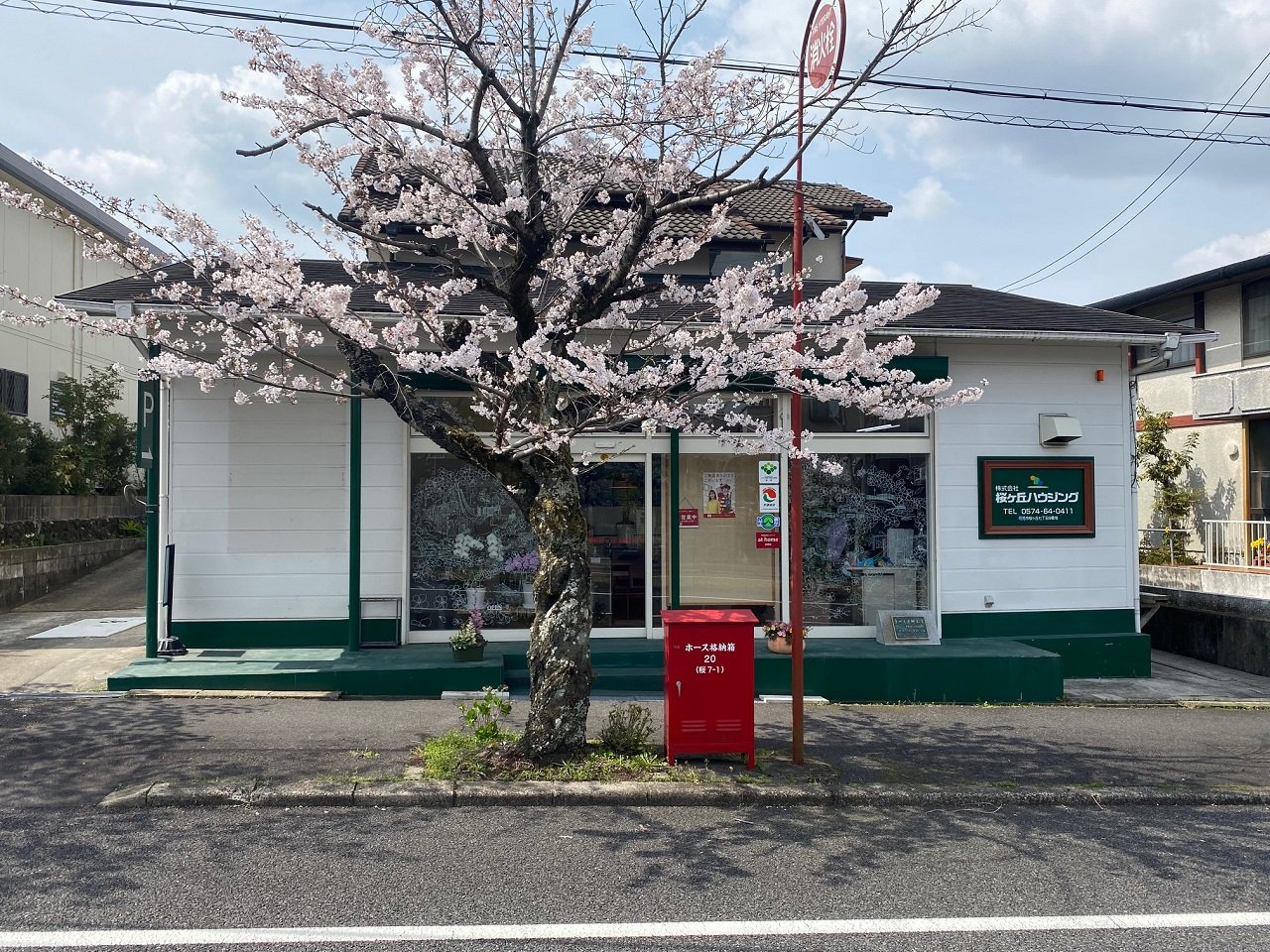 桜ケ丘ハイツに桜が咲きました！